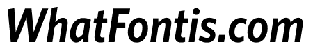 Whitney Narrow Semibold Italic
