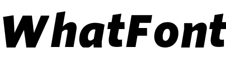 Whitney ScreenSmart Black Italic
