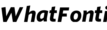 Whitney ScreenSmart Bold Italic
