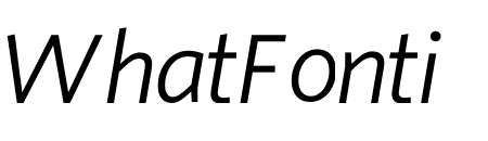 Whitney ScreenSmart Book Italic