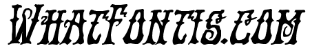Instant Zen Bold Italic