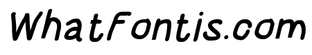 HoneyBee Black Italic
