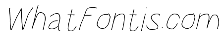HoneyBee Beeline Italic