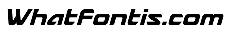 USAngel Italic