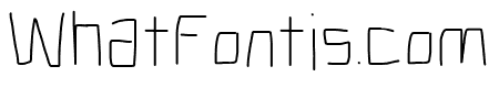 Electronic Light