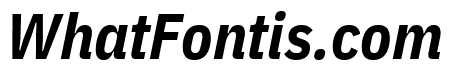 IBM Plex Sans Condensed Bold Italic