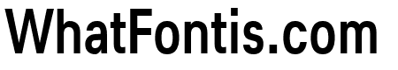 Lunchtype25 Condensed Medium