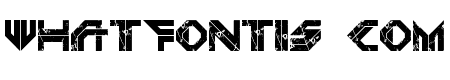 DEPLETED URANIUM Regular