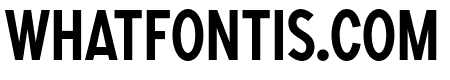 SONGERCondensed-Medium