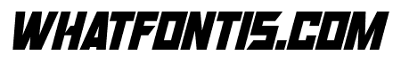 Robot Renegades Italic