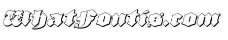 Lux Contra Tenebras 3D Italic