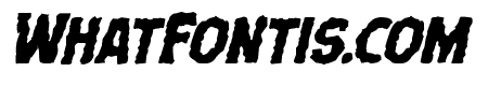 Terror Babble Mangled Italic