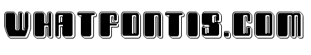 Zyborgs Punch