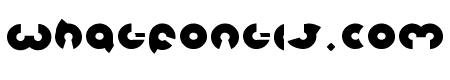 magnet Bold