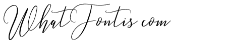 Love Hewits