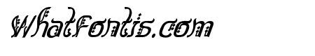 Bitling sulochi calligra Italic