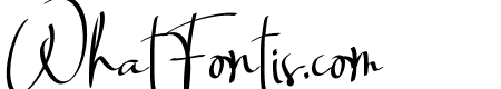 Billortte One_Regular