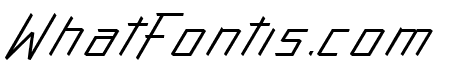 Action Protocol Italic