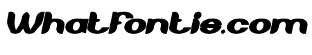 About you Bold Italic