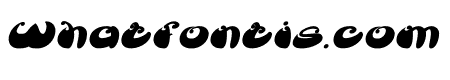 BUTTERFLY Bold Italic
