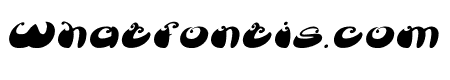 BUTTERFLY Italic