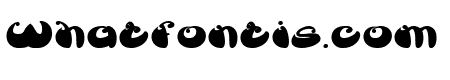 BUTTERFLY Bold