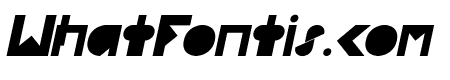 FLIGHT STEWARDESS Italic