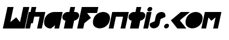 FLIGHT STEWARDESS Bold Italic