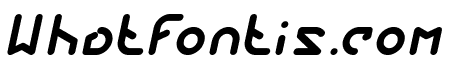 FUTURE Italic