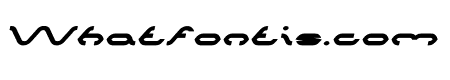 SPIDER Bold Italic