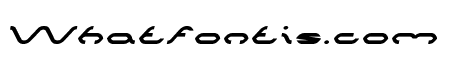 SPIDER Italic