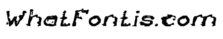 The Lazy Dog Bold Italic