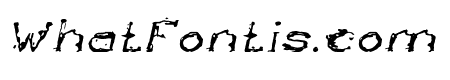 The Lazy Dog Italic