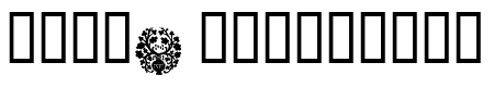 Design 6