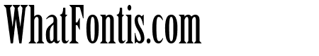 CheGuevara Text Serif