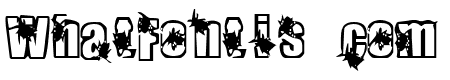 Infestation