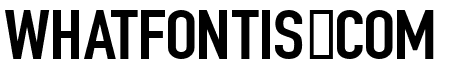 NFL Detroit Lions