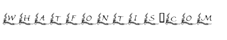 101! Ballet BorderZ