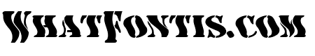 AustralianFlyingCorpsStencilE