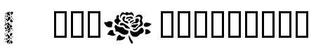 More Roses!