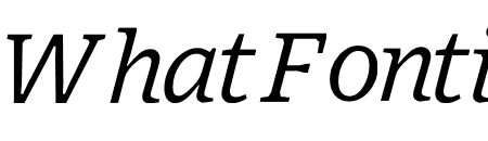 Exchange MicroPlus Book Italic