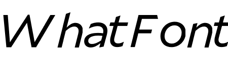 Mallory MicroPlus Book Italic