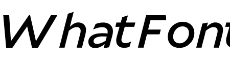 Mallory MicroPlus Medium Italic