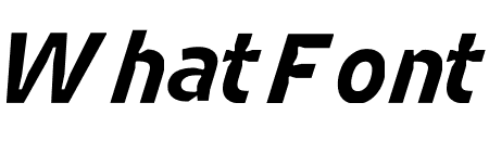 Retina MicroPlus Normal Bold Italic