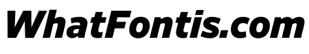 Retina Standard Normal Black Italic
