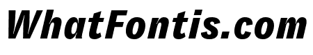 GT Zirkon Black Italic