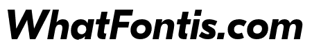 GT Eesti Display Bold Italic
