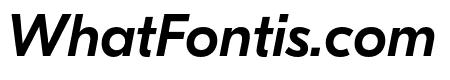 GT Eesti Display Medium Italic