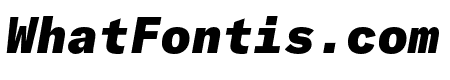 GT America Mono Black Italic