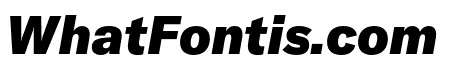GT America Standard Black Italic